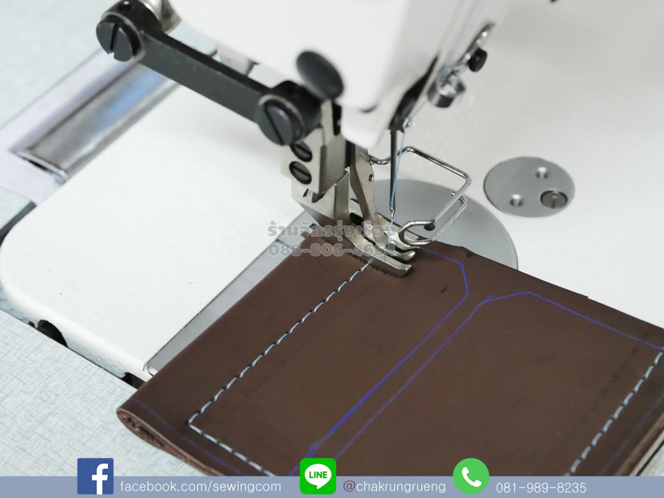 ตัวอย่างตะเข็บ